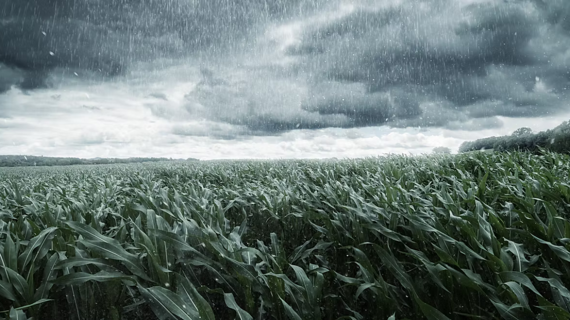 La Niña altera regime de chuvas e exige manejo no agro