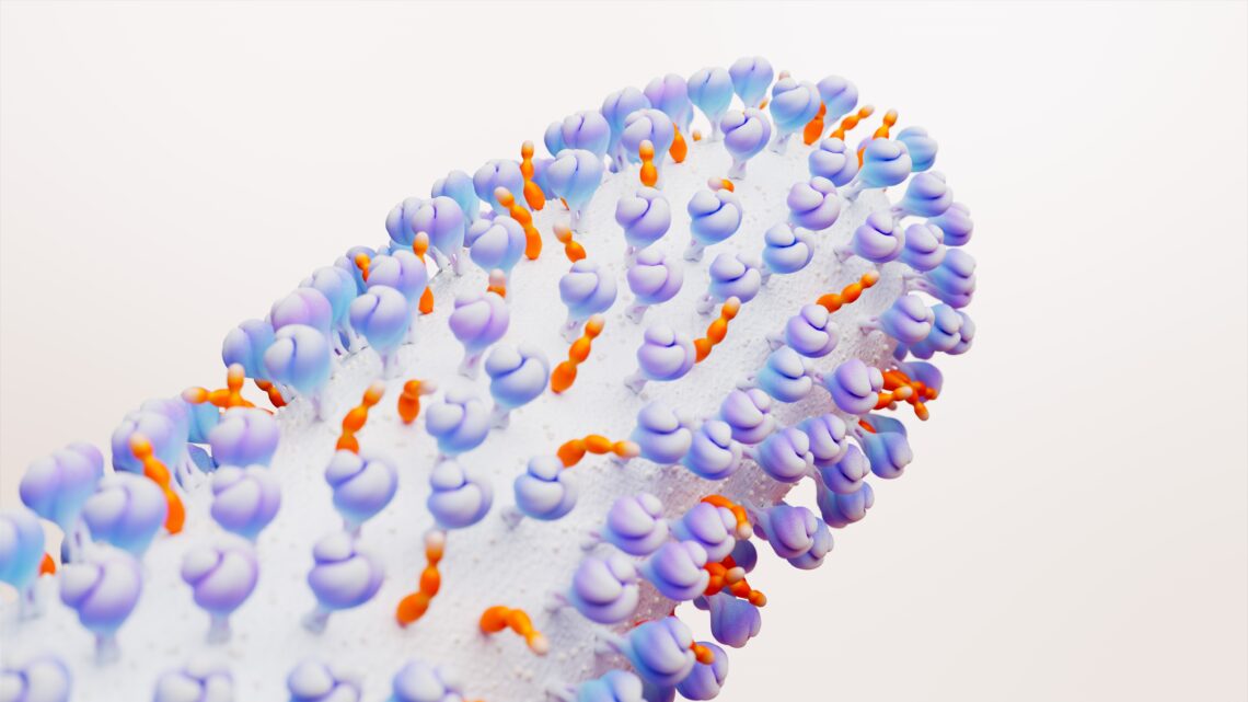 VSR: proteção para adultos 50+ com comorbidade é aprovada