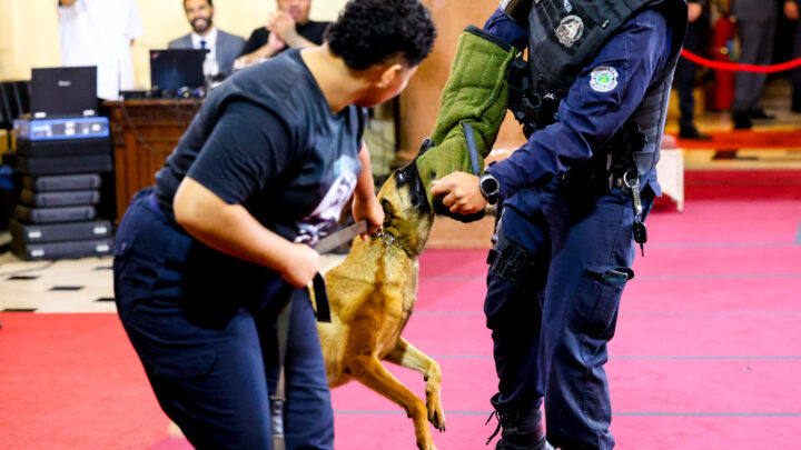 Canil da GCM de Santa Bárbara d’Oeste participa de evento no Tribunal de Justiça de São Paulo