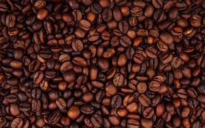 Café hoje: confira as cotações para quarta-feira (31)