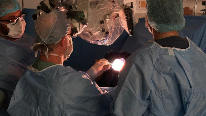 MAV: neurocirurgião explica como diagnosticar e tratar a condição