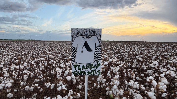 Future Climate e Almagrino vestem transparência na COP30