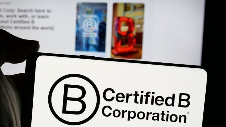 Como as Empresas B têm se diferenciado no mercado