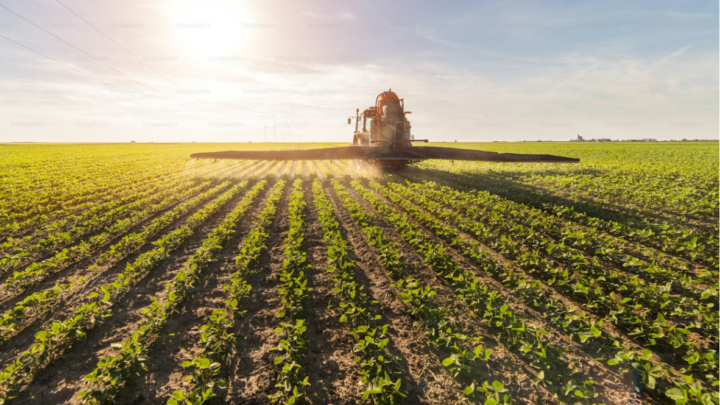 Derivados de potássio entregam eficiência e escala ao agro