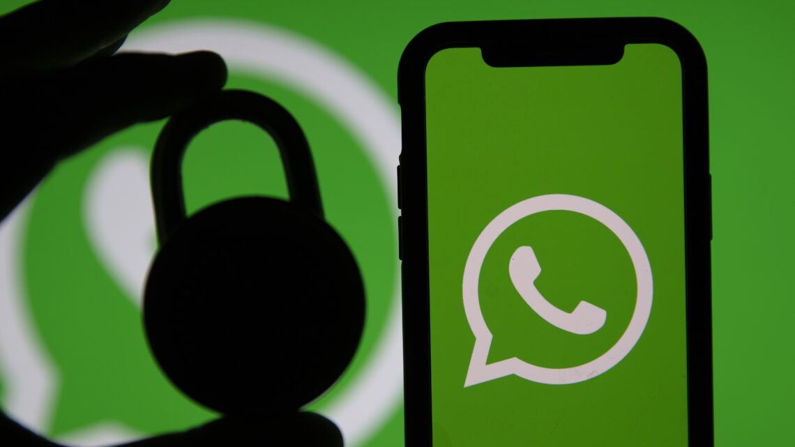 Bloqueios no WhatsApp acendem alerta para empresas