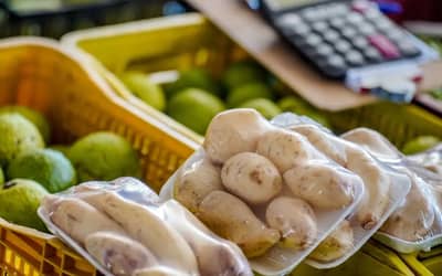 Ceasas: Ministério cria comitê para tratar de legislação das centrais