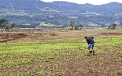 Seguro Rural fecha 2025 com 3,2 milhões de hectares segurados, pior desempenho em 10 anos