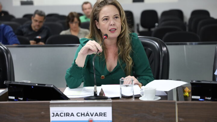 Jacira Chávare pede dedetização em bairros da região do Nova Americana