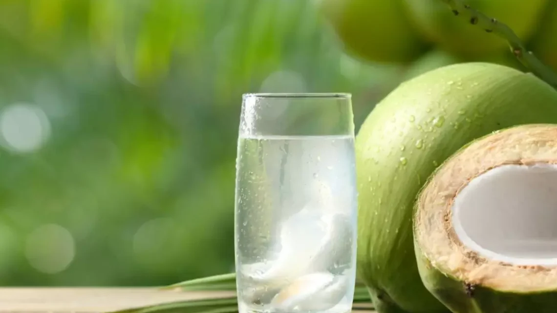 Nem toda água de coco é igual: o que muda do coco ao copo
