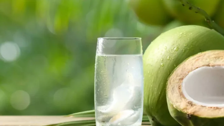 Nem toda água de coco é igual: o que muda do coco ao copo