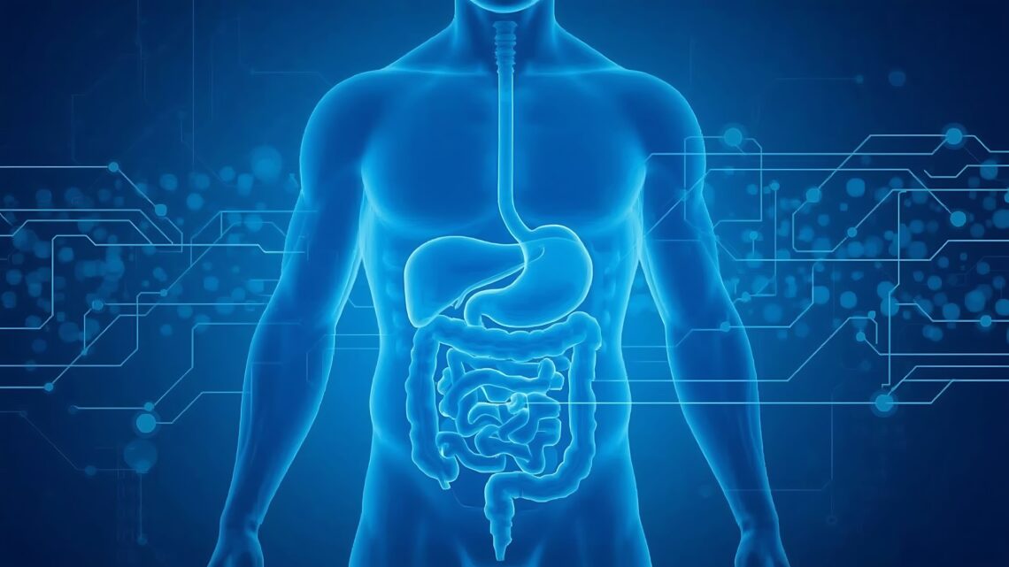 Tecnologia inova cura de doenças abdominais e metabólicas