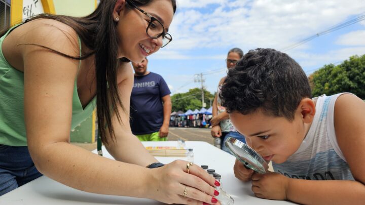 Dia D de Combate à Dengue: ação comunitária acontece em Santa Bárbara neste sábado
