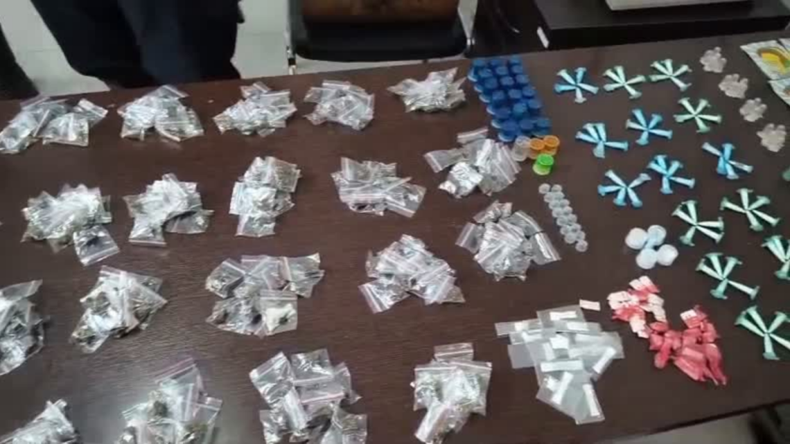 GCM apreende grande quantidade de entorpecentes no Conjunto Roberto Romano