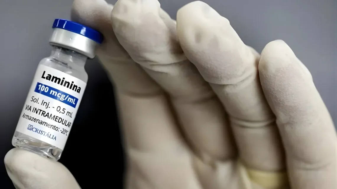 Judicialização da polilaminina avança no Brasil e reacende debate sobre os limites do direito à saúde