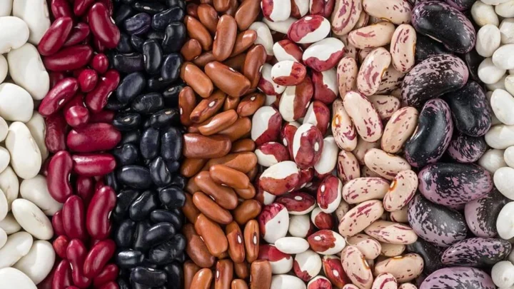 Dia Mundial do Feijão: nutricionista explica os principais benefícios de manter este alimento no prato
