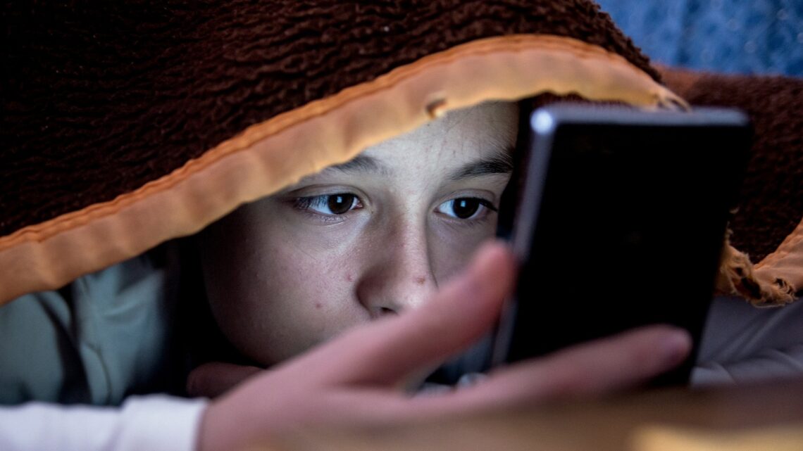 ECA digital acende alerta: sua empresa e sua família estão preparadas para as novas regras de proteção online de crianças?