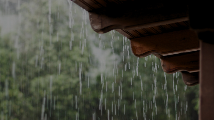 Calor e chuva aceleram avanço da dengue no país