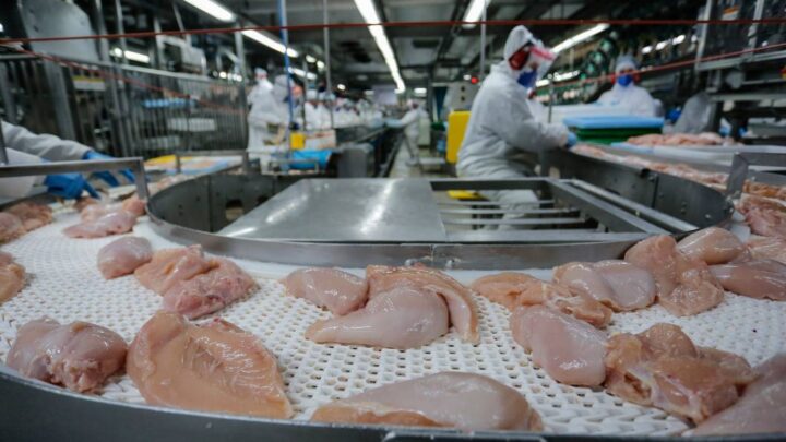 Conflito no Oriente Médio deve encarecer carnes de frango, suína e ovos