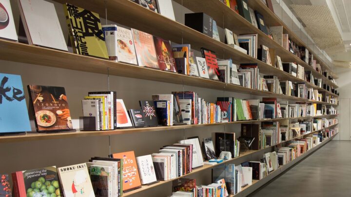 Dia do Livro: São Paulo se destaca pelos espaços de leitura