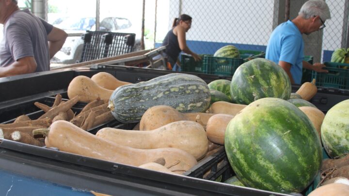 Prefeitura retoma Programa de Aquisição de Alimentos, que beneficia mais de mil pessoas em Hortolândia