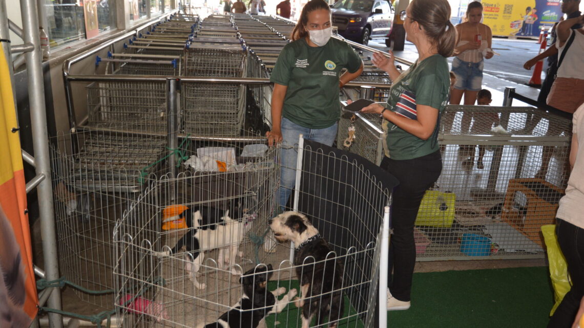 Hortolândia terá feira de adoção responsável neste domingo