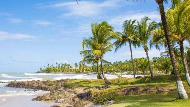 Ilhéus reforça sua oferta de passeios temáticos e atrai diferentes viajantes