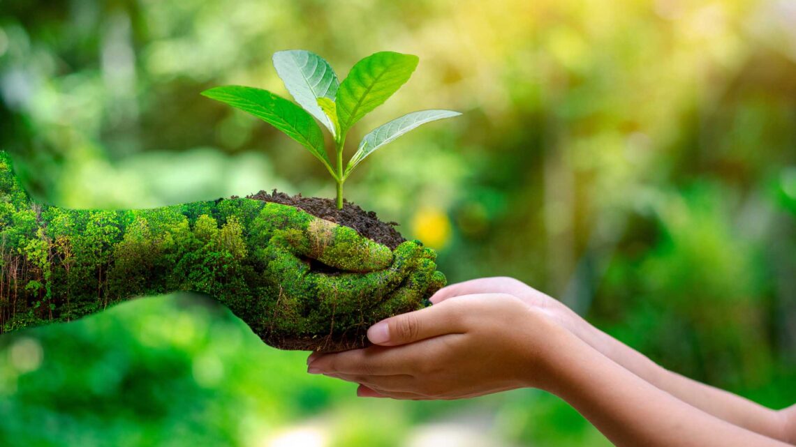 Consciência ecológica rege o comportamento dos ecoturistas