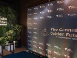 Cannabis medicinal impulsiona debate médico no Brasil