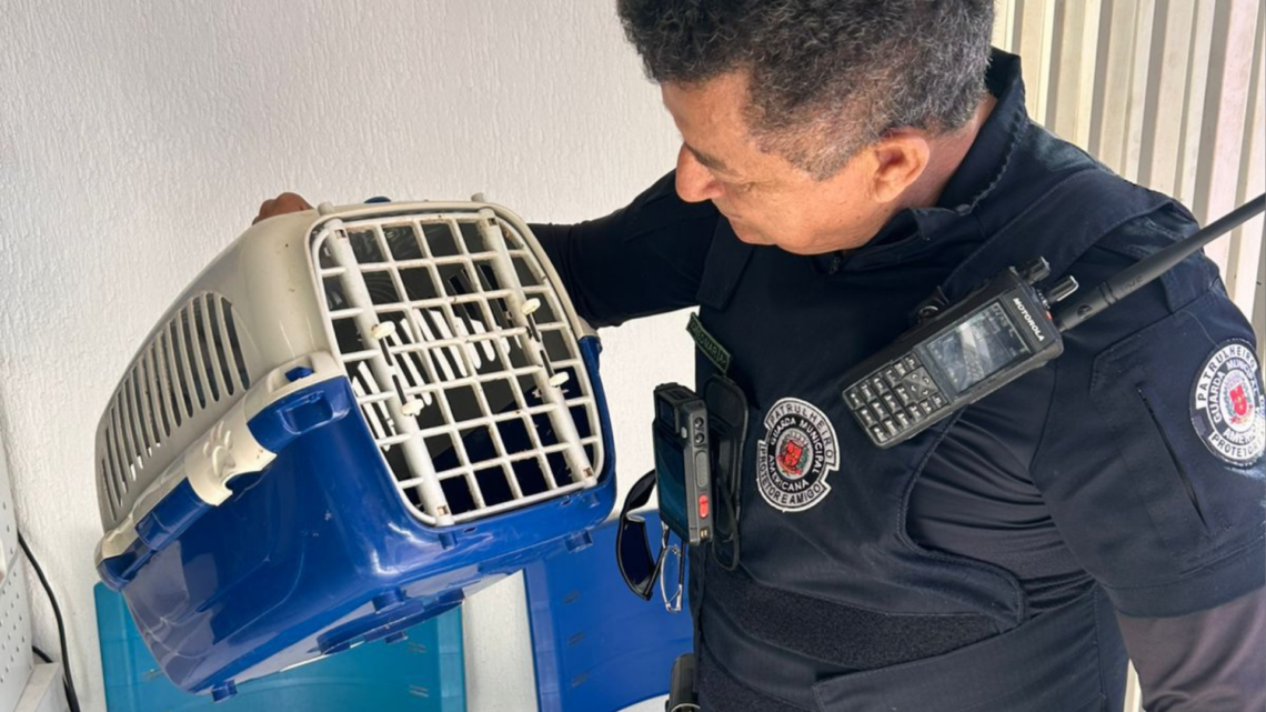 Guarda Municipal de Americana realiza soltura de 11 animais silvestres após reabilitação