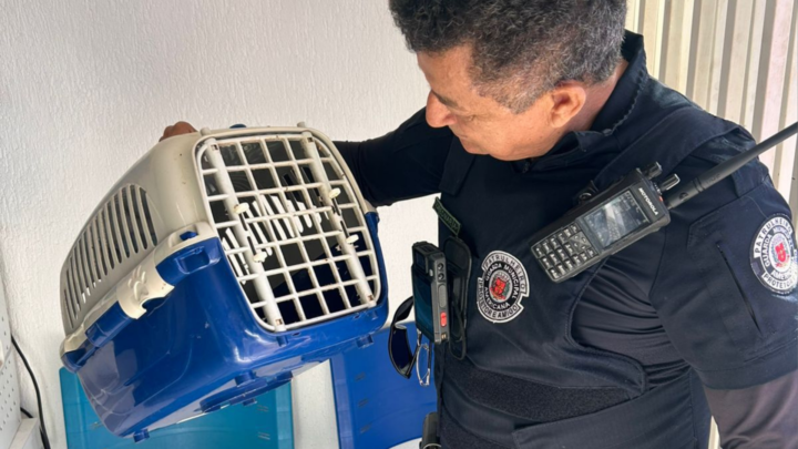 Guarda Municipal de Americana realiza soltura de 11 animais silvestres após reabilitação