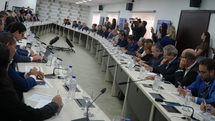 Renegociação das dívidas rurais pode custar menos da metade do valor estimado pelo governo; calcula FPA