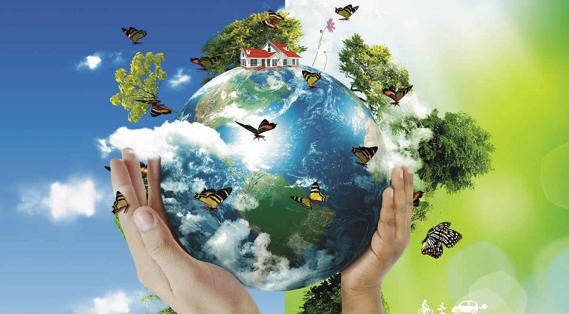 Mudanças climáticas estão no foco do Dia do Meio Ambiente