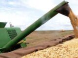 Agronegócio responde por 45,7% das exportações brasileiras e cresce 14% em junho