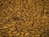 Bancada do Agro analisa contraproposta do governo sobre dívidas rurais
