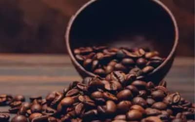 Café hoje: confira as cotações para esta quinta-feira (30)
