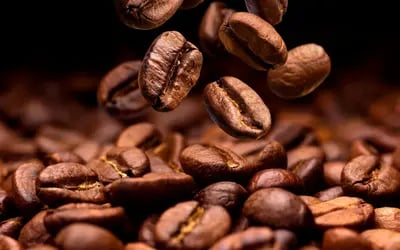 Café hoje: confira cotações para esta sexta-feira (24)