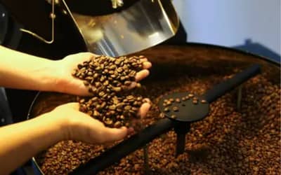 Café hoje: confira cotações para esta terça-feira (19)