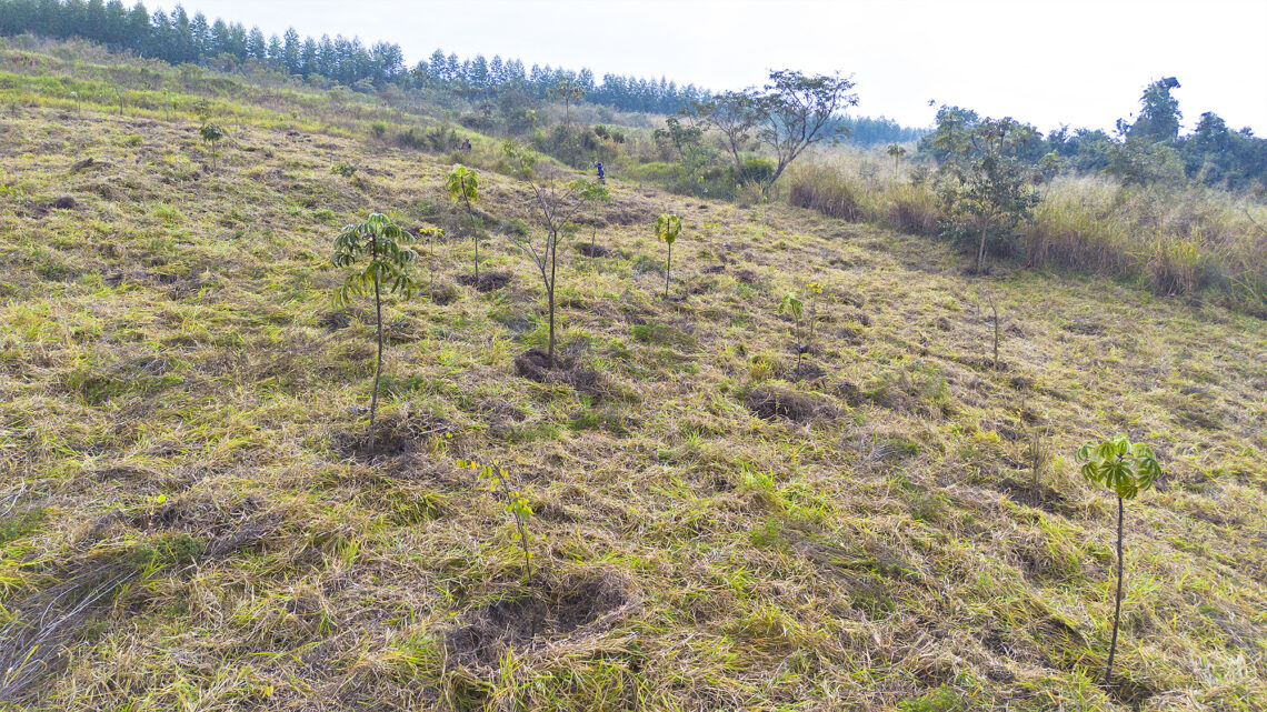 DAE de Santa Bárbara realiza manutenção em área de nascente da represa Areia Branca