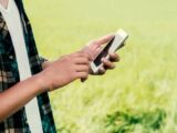 Expansão do 4G no campo: Piauí soma mais de 50 localidades conectadas