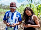 Expansão do 4G no campo: Rio Grande do Norte soma mais de 170 localidades conectadas