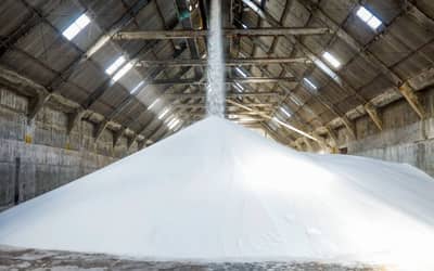 Fábrica de fertilizantes da Bahia é reativada e deve atender 5% da demanda nacional