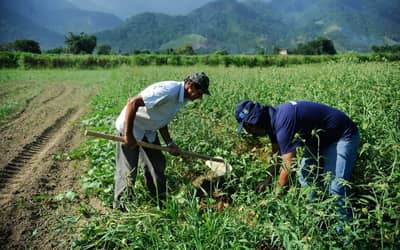 Mercado rural é responsável por três a cada dez vagas formais no país em janeiro, segundo CNM