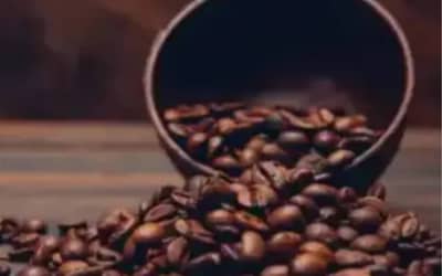Preço do café arábica volta a cair, com saca vendida a R$ 1.758,67, nesta quarta-feira (6)