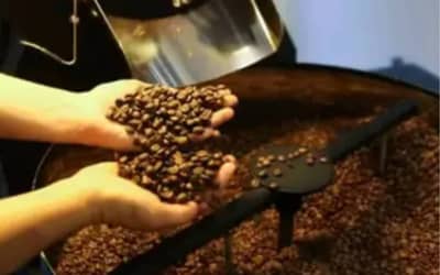 Título: Café hoje: confira cotações para esta sexta-feira (15)