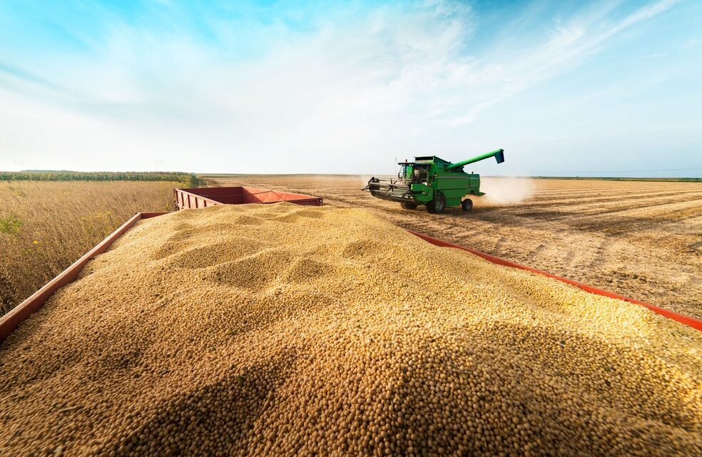 Grupo do agro aprova recuperação judicial com deságio de 85%
