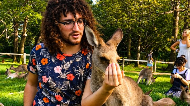 Inglês + voluntariado: experiência que fortalece causas