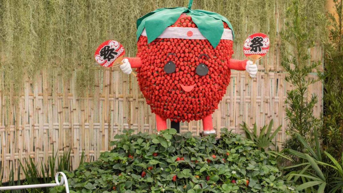 Festa de Flores e Morangos de Atibaia apresenta novidades