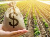 Agro inicia safra 2026/27 com R$ 580,78 bilhões em CPRs