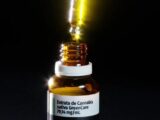 Autorizações para importação de cannabis medicinal aumentam 29% em 2026