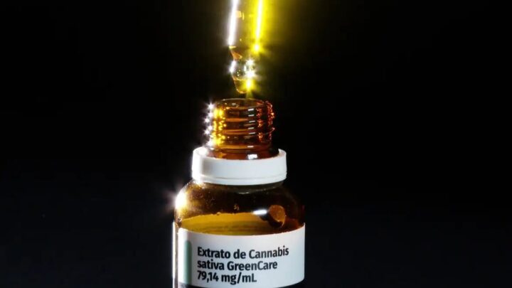 Autorizações para importação de cannabis medicinal aumentam 29% em 2026